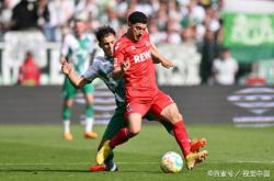 包含布莱顿主场不敌劲敌实力占优的词条