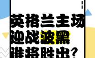 英格兰客场战平波黑，领跑小组的简单介绍