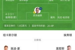 纽卡斯尔客场逼平埃弗顿，保级形势渐入佳境的简单介绍